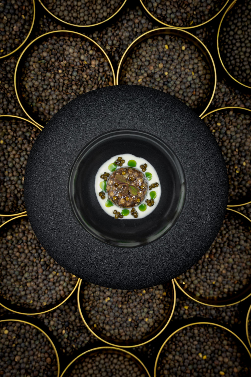{"fr":"Gel\u00e9e de lentilles au caviar","en":"Jelly of lentils with caviar","zh":"\u6241\u8c46\u51bb\u7f00\u9c7c\u5b50\u9171","ja":"\u30ec\u30f3\u30ba\u8c46\u30bc\u30ea\u30fc\u306e\u30ad\u30e3\u30d3\u30a2\u6dfb\u3048","ko":"\ub80c\ud2f8\ucf69 \uc824\ub9ac\uc640 \uce90\ube44\uc5b4","ru":"\u0416\u0435\u043b\u0435 \u0447\u0435\u0447\u0435\u0432\u0438\u0446\u044b \u0441 \u0438\u043a\u0440\u043e\u0439"}
